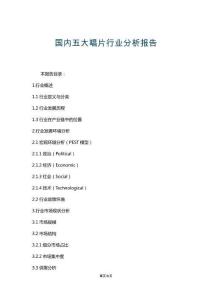 國內(nèi)五大唱片行業(yè)分析報告