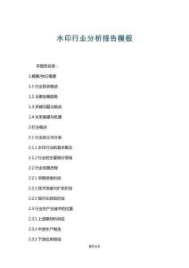 水印行業(yè)分析報(bào)告模板