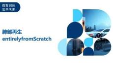 肺部再生entirelyfromScratch-洞察及研究