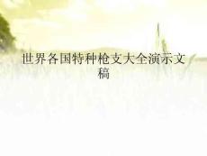 世界各國特種槍支大全