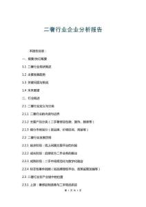 二奢行業(yè)企業(yè)分析報告