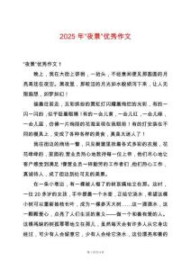 2025年“夜景”優(yōu)秀作文