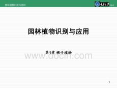 《园林植物识别与应用第2版》课件-第1章-裸子植物
