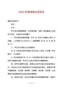 2025年[薦]借款合同范本