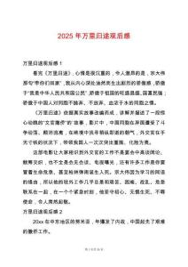 2025年萬(wàn)里歸途觀后感