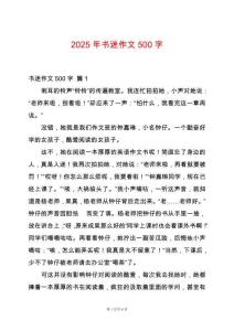 2025年書迷作文500字