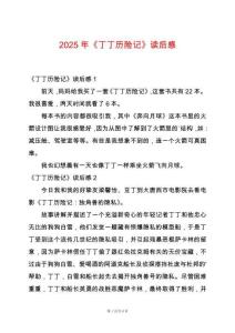 2025年《丁丁歷險記》讀后感