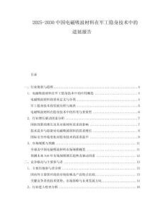 2025-2030中國電磁吸波材料在軍工隱身技術(shù)中的進(jìn)展報告