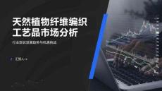 2025年天然植物纖維編織工藝品市場分析