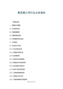 黑芝麻公司行業(yè)分析報(bào)告