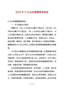 2025年IT企業(yè)的薪酬管理制度
