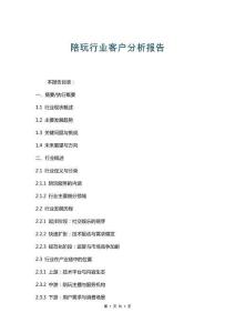 陪玩行業客戶分析報告