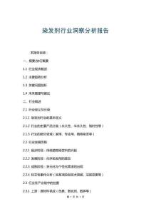 染發劑行業洞察分析報告