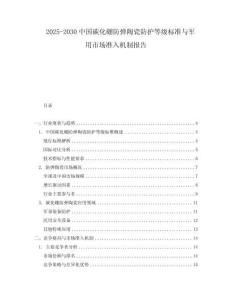 2025-2030中國碳化硼防彈陶瓷防護(hù)等級標(biāo)準(zhǔn)與軍用市場準(zhǔn)入機(jī)制報(bào)告
