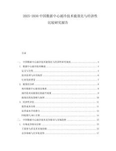2025-2030中國數據中心液冷技術能效比與經濟性比較研究報告