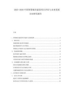 2025-2030中國智慧城市建設(shè)項目評估與未來發(fā)展方向研究報告