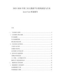 2025-2030中國工業(yè)大數(shù)據(jù)平臺架構(gòu)演進與行業(yè)know-how積累報告
