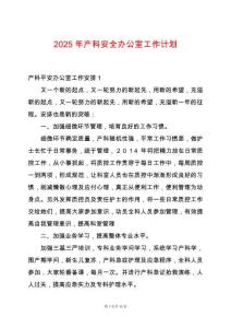 2025年產(chǎn)科安全辦公室工作計劃