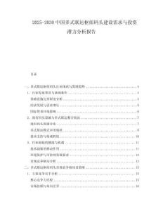 2025-2030中國多式聯運樞紐碼頭建設需求與投資潛力分析報告