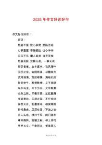 2025年作文好詞好句