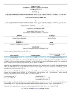 【SEC-2025行業(yè)研究報告】Form 10-Q Brag House Holdings Inc.