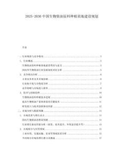 2025-2030中國生物柴油原料種植基地建設規劃