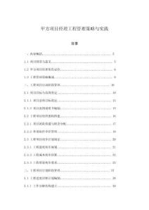 甲方項目經理工程管理策略與實踐