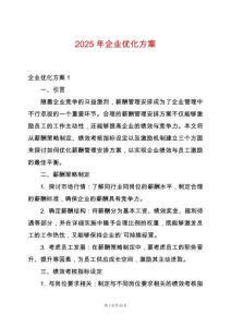 2025年企業(yè)優(yōu)化方案