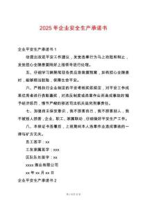 2025年企業安全生產承諾書