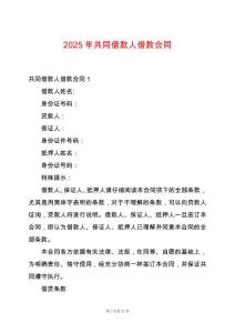 2025年共同借款人借款合同
