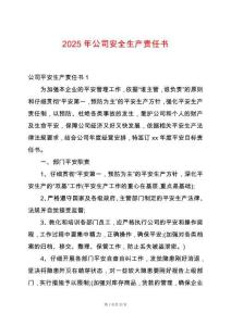 2025年公司安全生產責任書