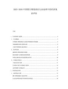 2025-2030中國漂白增效劑在污水處理中的經(jīng)濟效益評估