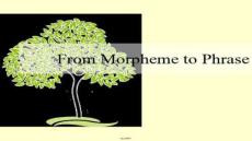 【語言學(xué)學(xué)習(xí)技巧與方法】語言學(xué)概論(moephemeandphrase)