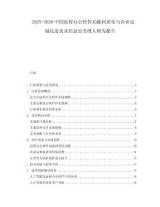 2025-2030中國遠程辦公軟件功能同質化與企業定制化需求及信息安全投入研究報告