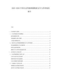 2025-2030中國自動駕駛路測數據安全與管理規范報告