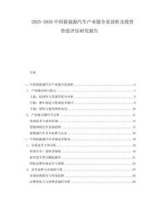 2025-2030中國新能源汽車產業鏈全景剖析及投資價值評估研究報告