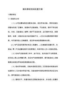 觸電事故現(xiàn)場處置方案