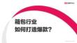 新媒體平臺種草平臺新媒體運營箱包行業(yè)如何打造小紅書爆款【小紅書運營】