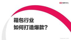 新媒體平臺種草平臺新媒體運(yùn)營箱包行業(yè)如何打造小紅書爆款【小紅書運(yùn)營】