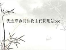 形容詞性物主代詞用法 (2)