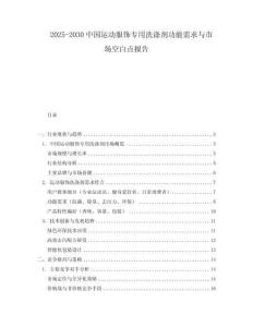 2025-2030中國運動服飾專用洗滌劑功能需求與市場空白點報告
