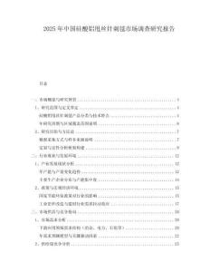 2025年中國硅酸鋁甩絲針刺毯市場調查研究報告