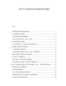 2025年中國(guó)鼓樂(lè)器市場(chǎng)調(diào)查研究報(bào)告