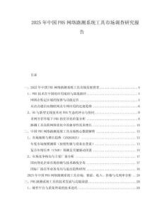 2025年中國PHS網絡路測系統工具市場調查研究報告