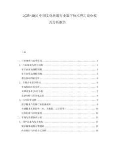 2025-2030中國文化傳媒行業數字技術應用商業模式分析報告
