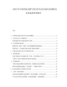 2025年中國單段式煤氣發生爐行業市場全景調研及未來趨勢研判報告