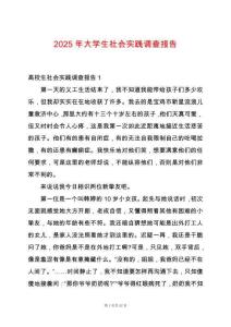 2025年大學生社會實踐調查報告