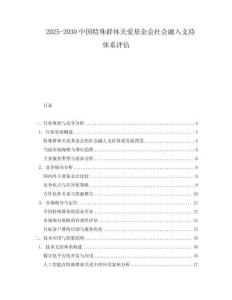 2025-2030中國特殊群體關愛基金會社會融入支持體系評估