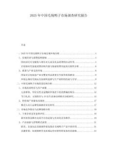 2025年中國毛絨鴨子市場調(diào)查研究報告