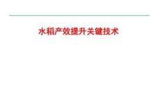 水稻產(chǎn)效提升關鍵技術